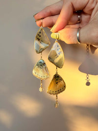 Chained Cutter's Forester Butterfly Wings with Labradorite