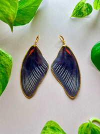 Real Papilio Deiphobus Swallowtail Butterfly Wing Earrings
