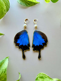 Real Papilio Ulysses Swallowtail Mountain Blue Butterfly Wing with Freshwater Pearl