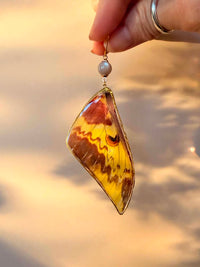 Real Silk Moth (Actias maenas) Wing with Chocolate Moonstone Earrings
