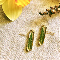 Fern Capsule Studs