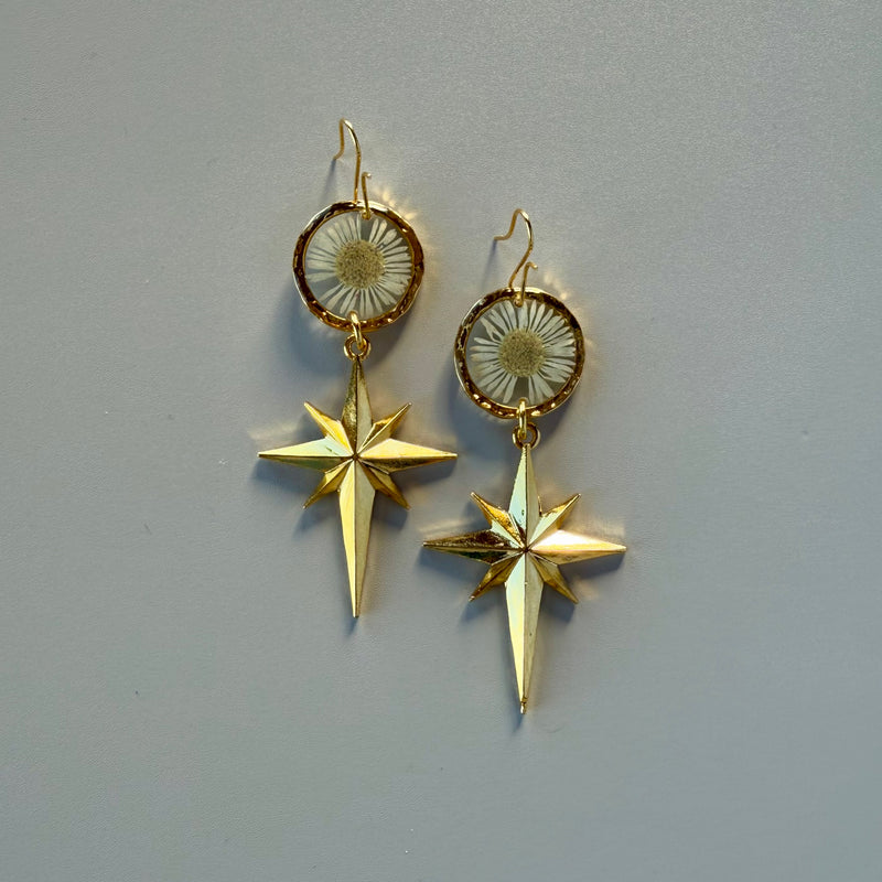 Daisy Moon & North Star