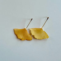 Pressed Ginkgo Leaf with Gold Stem Stud