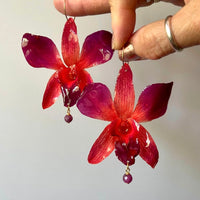 Orange and Magenta Orchid with Ruby