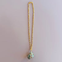 Green Turbo Seashell Necklace & Gold Chain