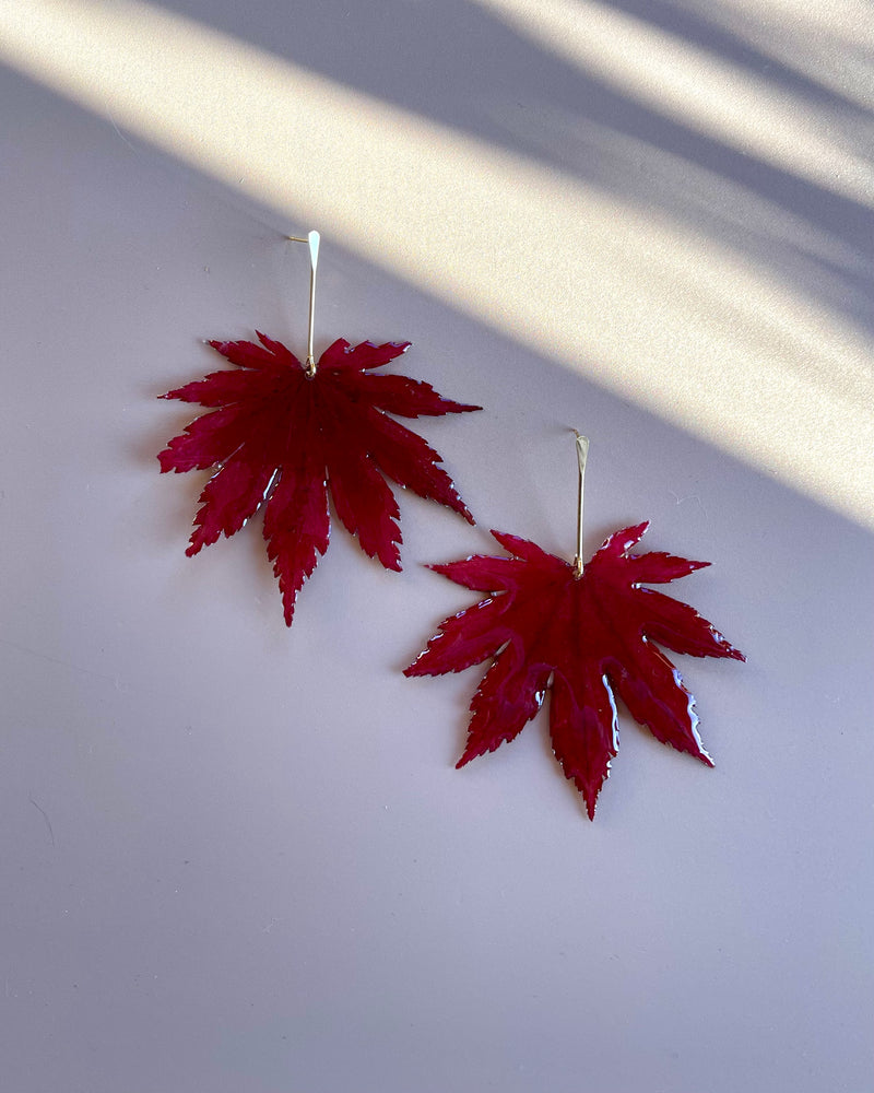 Real Japanese Maple Leaves with Gold Stem Studs