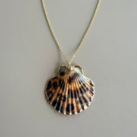 Scallop Seashell Necklace in Gold