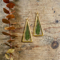 Ferns in Gold Triangles