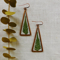 Ferns in Copper Triangles