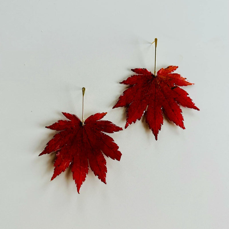 Real Japanese Maple Leaves with Gold Stem Studs