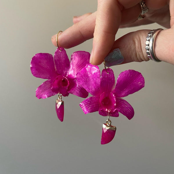 Small Fuchsia Orchid with Pink Ruby Horn