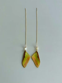 Real Chinese Moon Moth Wing & Moonstone Gold Threader Earrings
