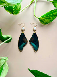 Real Chinese Peacock Swallowtail Butterfly Wing Earrings with Freshwater Pearls