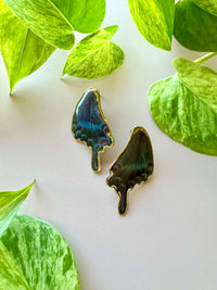 Real Papilio Blumei Butterfly Wing Stud Earrings