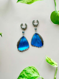 Real Morpho Didius Butterfly Wing Earrings with Labradorite