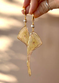 Real Golden Moon Moth Wing Earrings with Genuine Silver Pearls