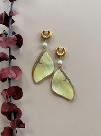 Real Luna Moth Wing Earrings with Pearls