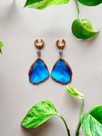 Real Morpho Didius Butterfly Wing Earrings with Labradorite