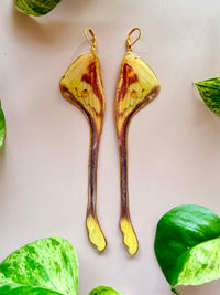 Real Actias maenas Silk Moth Wing Earrings