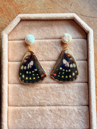 Real Great Purple Emperor Butterfly Wing Earrings with Freshwater Pearl Studs