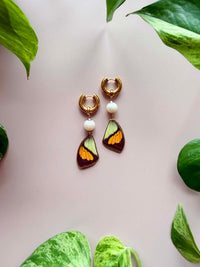 Real Yellow Orange Tip Butterfly Wing Earrings with Edison Freshwater Pearls