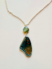 Real Limenitis Arthemis Butterfly Wing Necklace