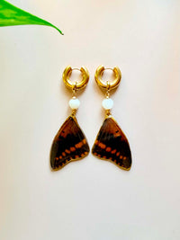 Real Two-Tailed Pasha Butterfly Wing Earrings with Moonstone