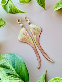Real Luna Moth Wing Earrings with Moonstone