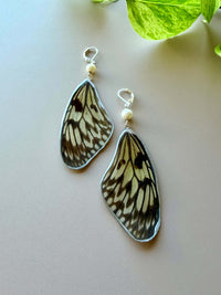 Real Paper Kite (Idea Leuconoe)  Butterfly Wing Earrings with Pearls