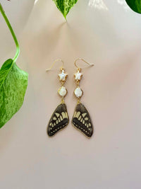Real Old World Swallowtail Butterfly Wing Earrings with Freshwater Pearls