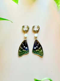 Real Japanese Emperor Butterfly Wing Earrings with Moonstone