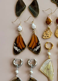 Real Monarch Butterfly Wing Earrings with Freshwater Pearls