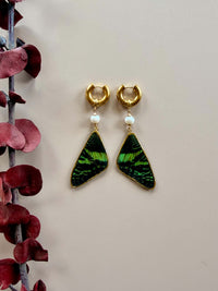 Real Sunset Moth Wing Earrings with Freshwater Pearls