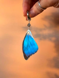 Real Morpho Didius Butterfly Wing Earrings with Labradorite