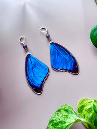 Real Morpho Didius Butterfly Wing Earrings with Labradorite