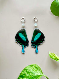 Real Papilio Blumei Peacock Swallowtail Butterfly Wing Earrings with Moonstone
