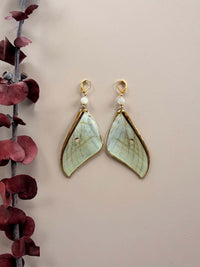 Real Luna Moth Wing Earrings with Moonstone
