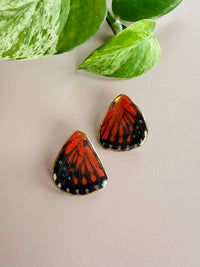 Real Red Cracker Butterfly Wing Stud Earrings