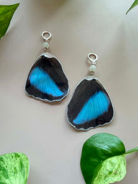 Real Morpho Achilles Butterfly Wing Earrings with Moonstone