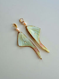 Real Luna Moth Wing Earrings with Pink Pearls