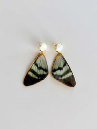 Real Alcides Orontes Moth Wing Pearl Stud Earrings