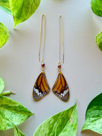 Real Monarch Butterfly Wing & Hessonite Threader Earrings in Gold
