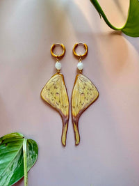 Real Luna Moth Wing Earrings with Moonstone