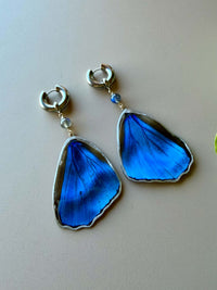 Real Morpho Didius Butterfly Wing Earrings with Labradorite