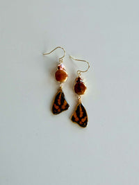 Real Common Jester Butterfly Wing Earrings with Copper Pearls