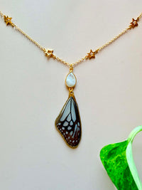 Real Glassy Tiger Butterfly Wing Necklace