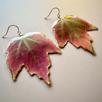 Real Amur Maple Leaves Earrings