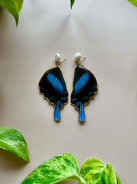 Real Papilio Blumei Peacock Swallowtail Butterfly Wing & Pearl Stud Earrings