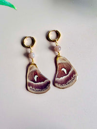 Real Red Saturn Moth Wing Earrings with Chocolate Moonstone