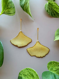 Pressed Ginkgo Leaf with Gold Stem Stud
